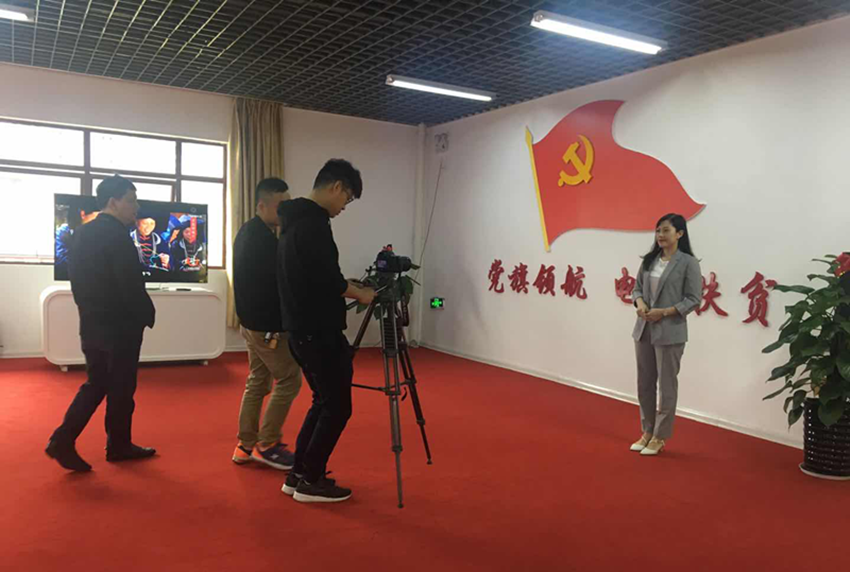 首页| Starbo星宝官网